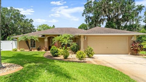 3132 MANGO TREE DRIVE EDGEWATER FL 32141
