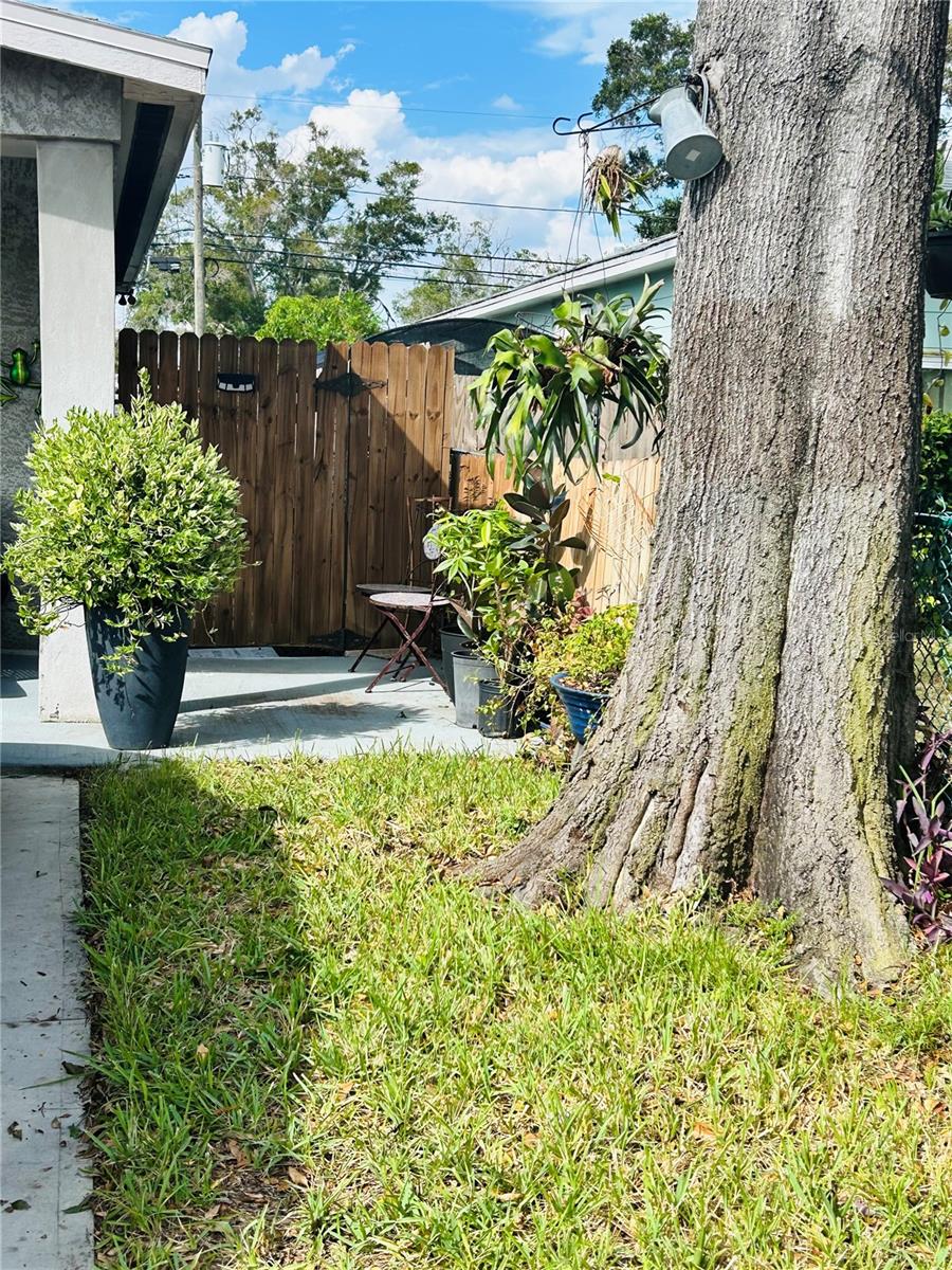 RIDGEWAY - Residential