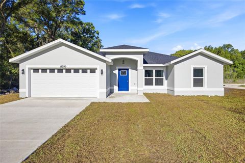 Photo of 14290 SE 44th Avenue, Summerfield, FL 34491 (MLS # OM722291)