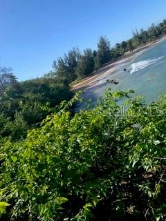 TREASURE POINT - Residential