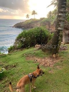 TREASURE POINT - Residential