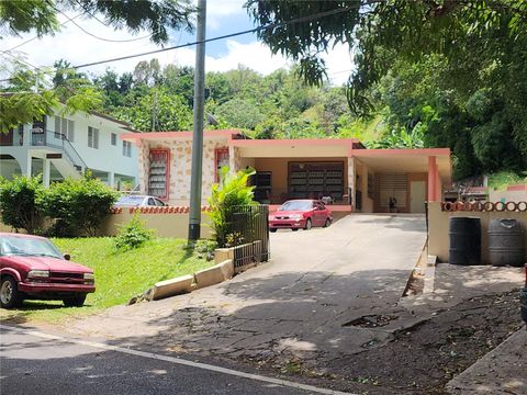 Carr. 347 Km.1.8 BO. SABANA GRANDE ABAJO, SECTOR EL COTTO SAN GERMAN  00683