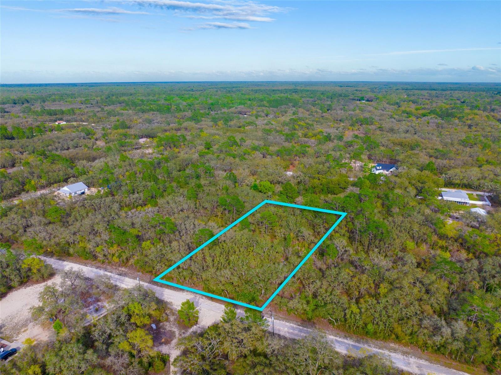 Looking for a great lot to build your home? Looking to start investing in real estate? Look no further! This lot is right in Ridge Manor and not far from major roads to take you anywhere. Close to town, Tampa and Orlando. Live in the country and enjoy the city or beach without a long drive. Enjoy the nearby state park for water activities and hiking. Own your piece of Florida land today!
