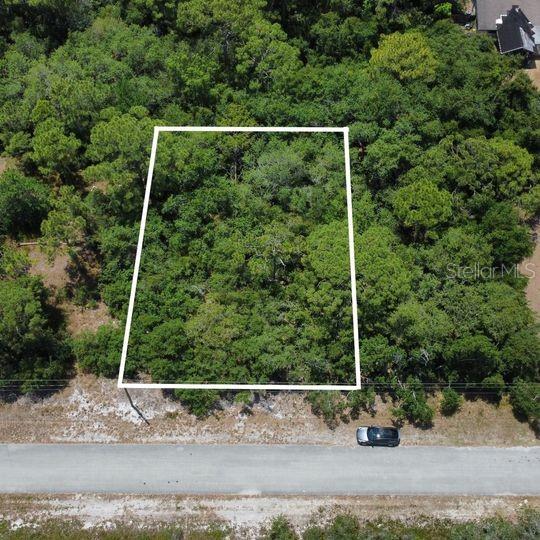 PLACID LAKES SEC 11 - Land