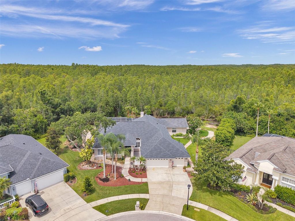 Photo of 6212 Nimes Court, Lutz, FL 33558 (MLS # TB8387019)