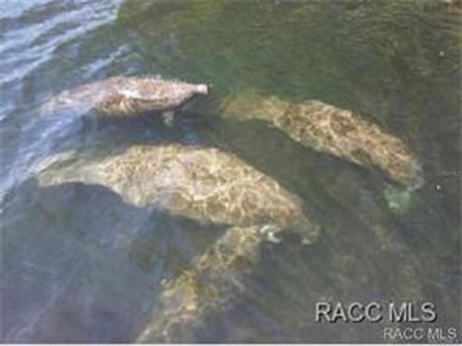 BEVERLY HILLS UNIT 06 SEC 03B - Residential