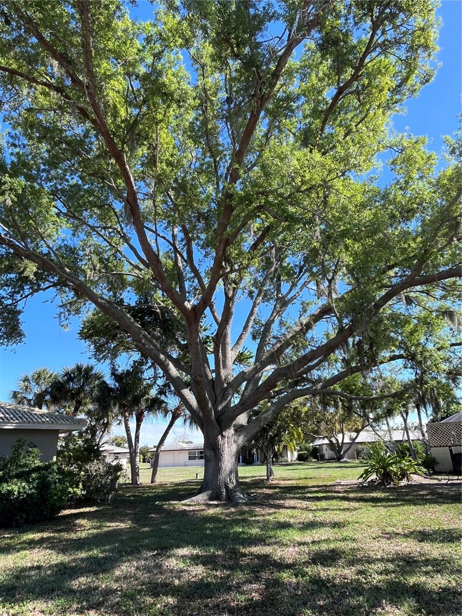 SORRENTO VILLAS - Land