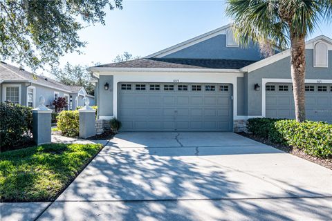 A home in LITHIA