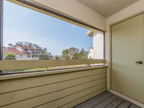 A home in DUNEDIN