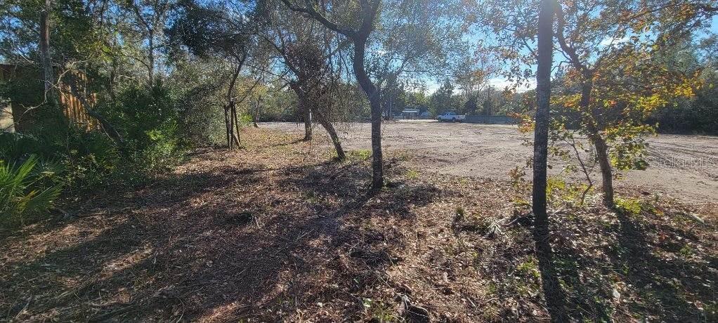 LAKE KATHRYN HEIGHTS REP - Land