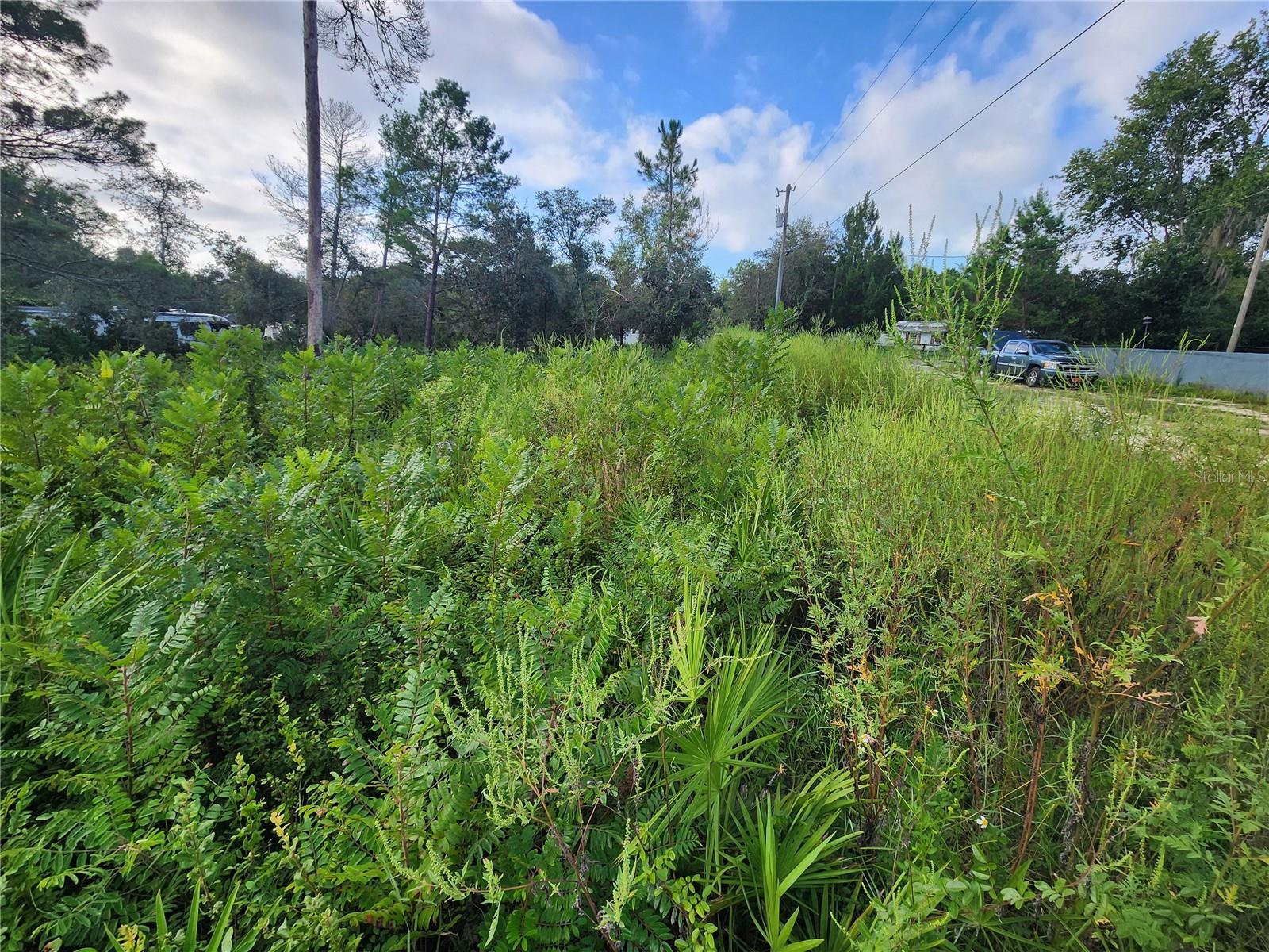 LAKE KATHRYN HEIGHTS REP - Land