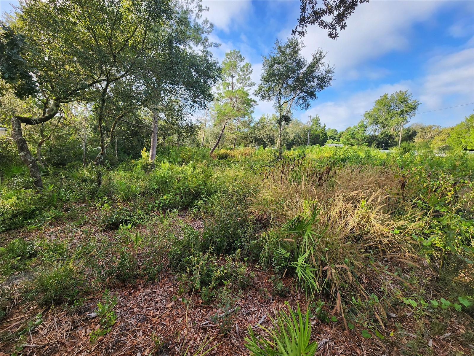 LAKE KATHRYN HEIGHTS REP - Land