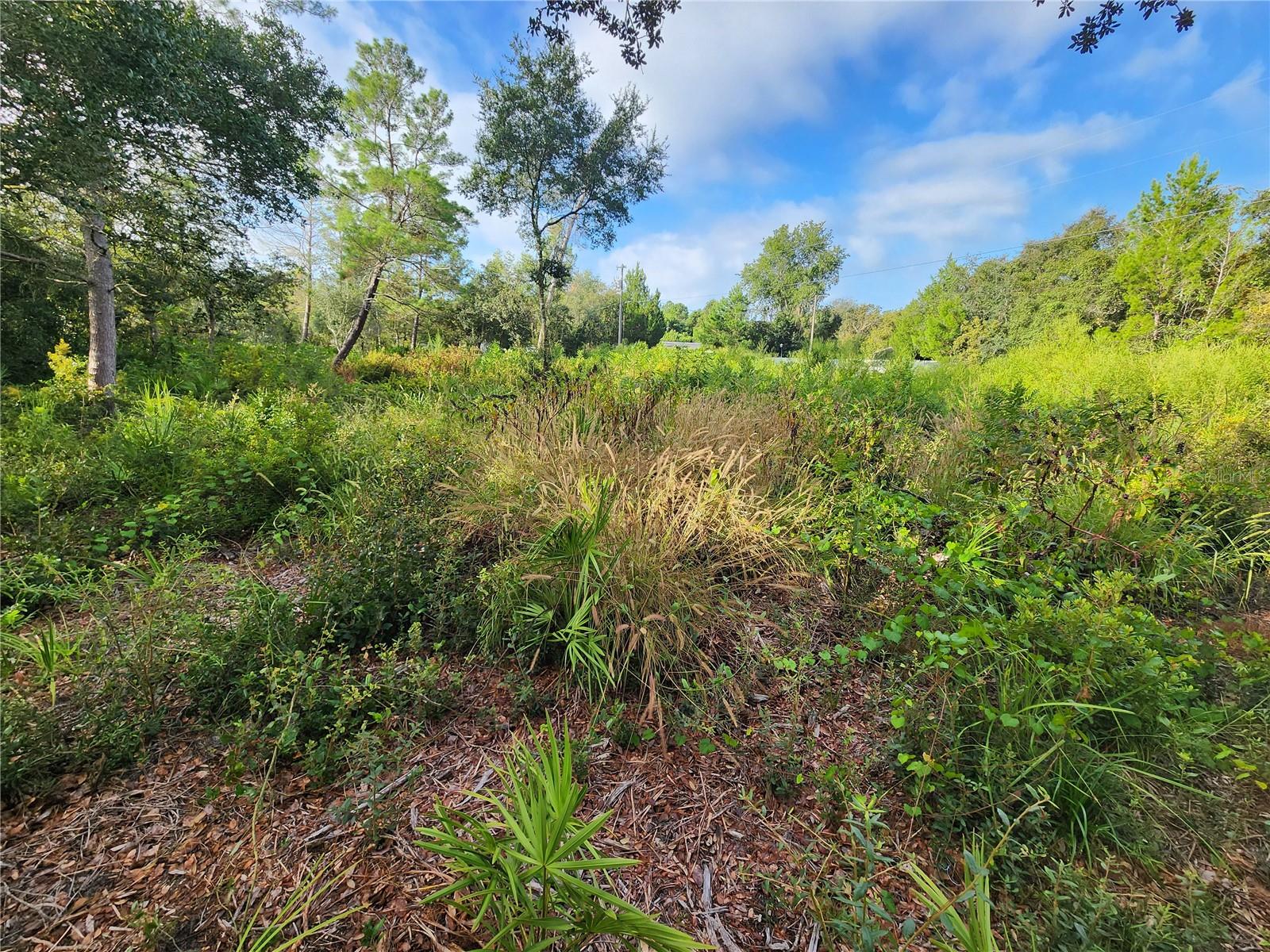 LAKE KATHRYN HEIGHTS REP - Land