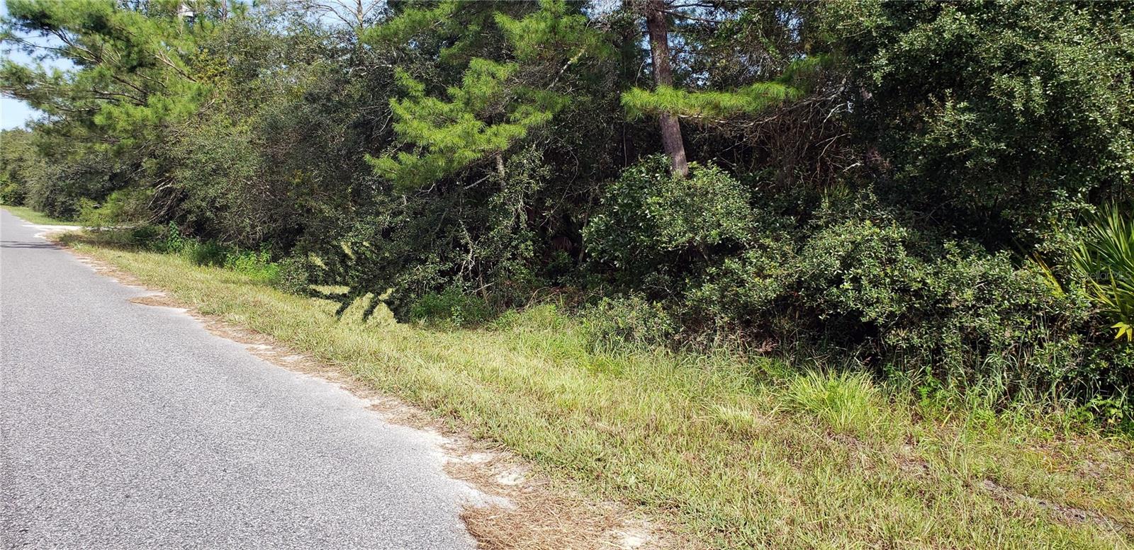 LAKE KATHRYN HEIGHTS REP - Land