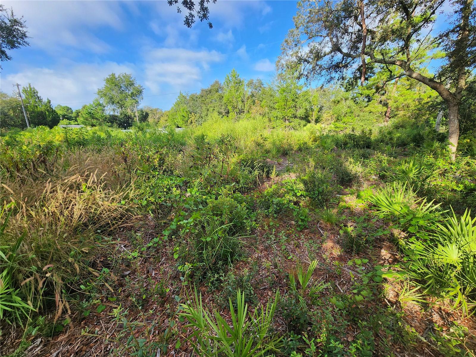 LAKE KATHRYN HEIGHTS REP - Land