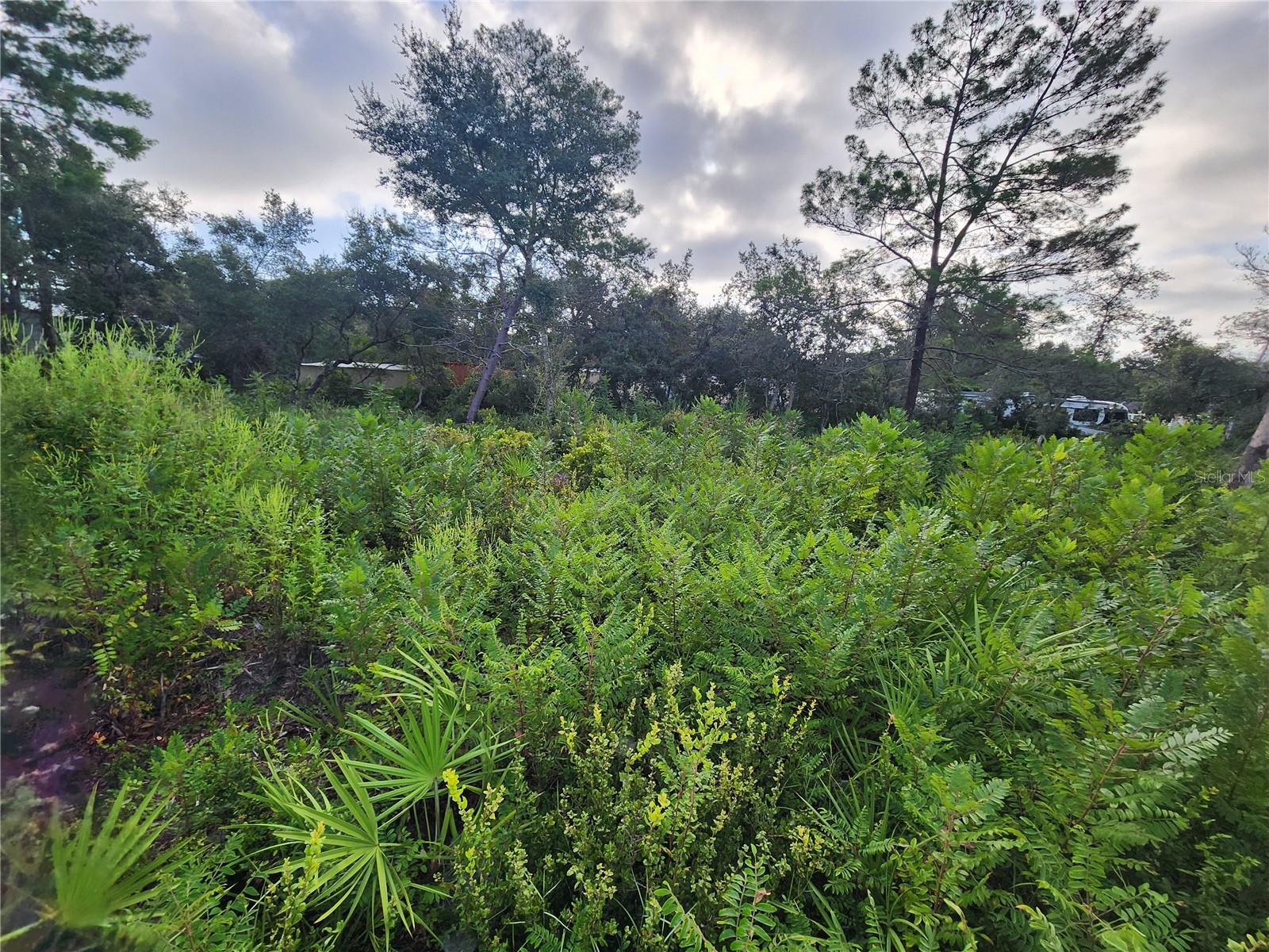 LAKE KATHRYN HEIGHTS REP - Land