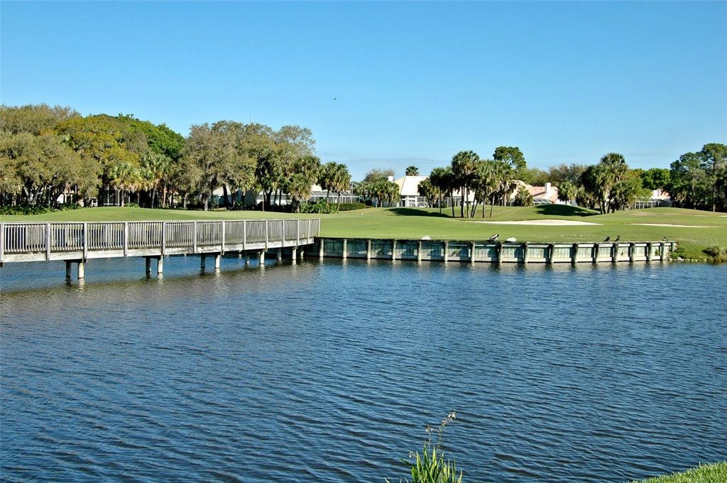 listing image 51