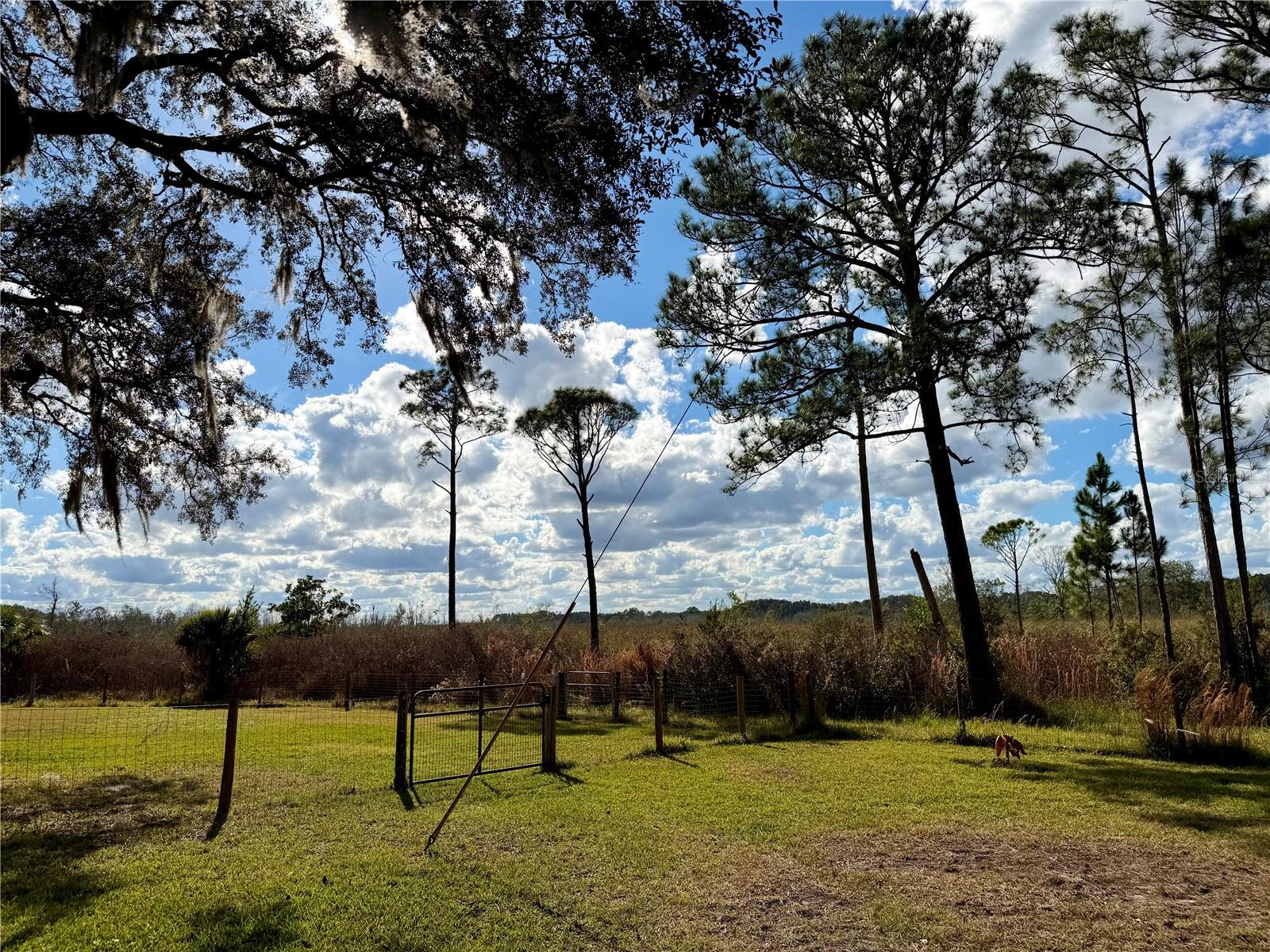 ACREAGE & UNREC - Residential