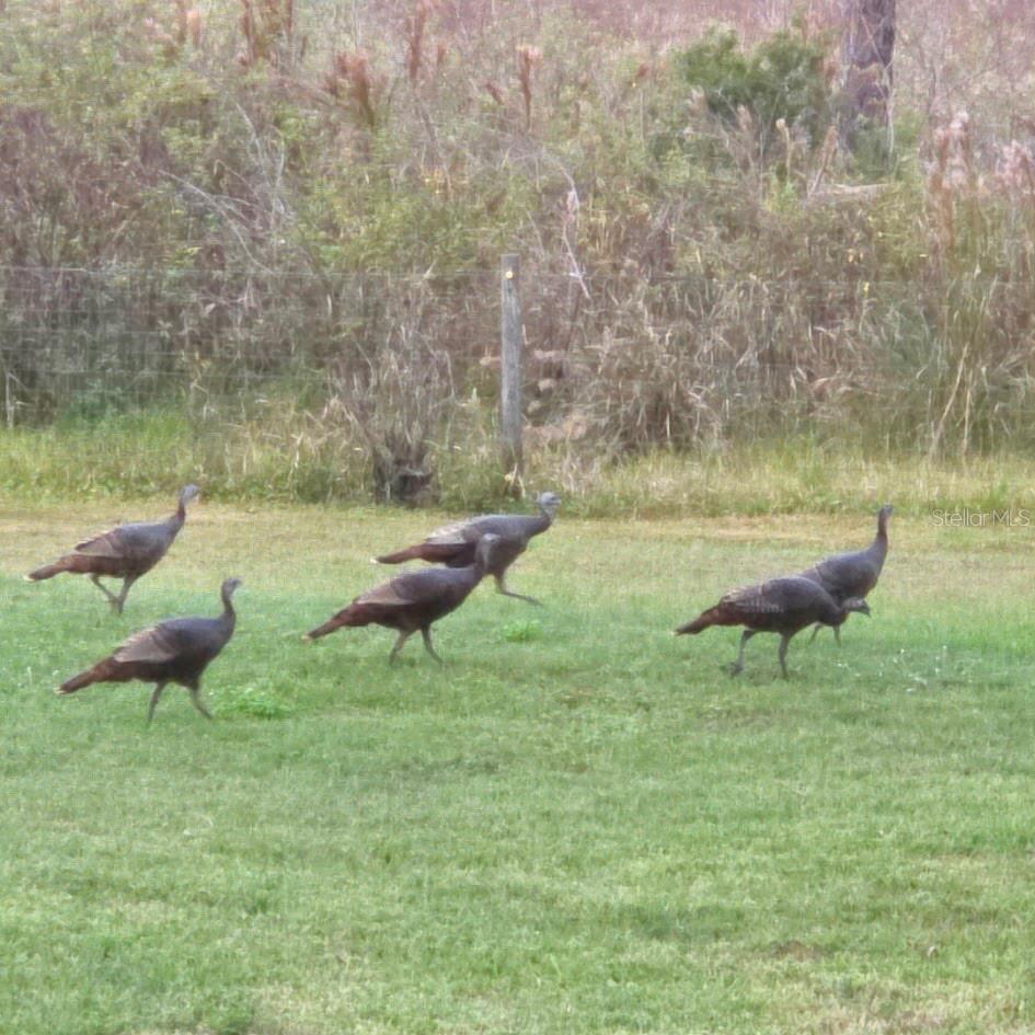 ACREAGE & UNREC - Residential