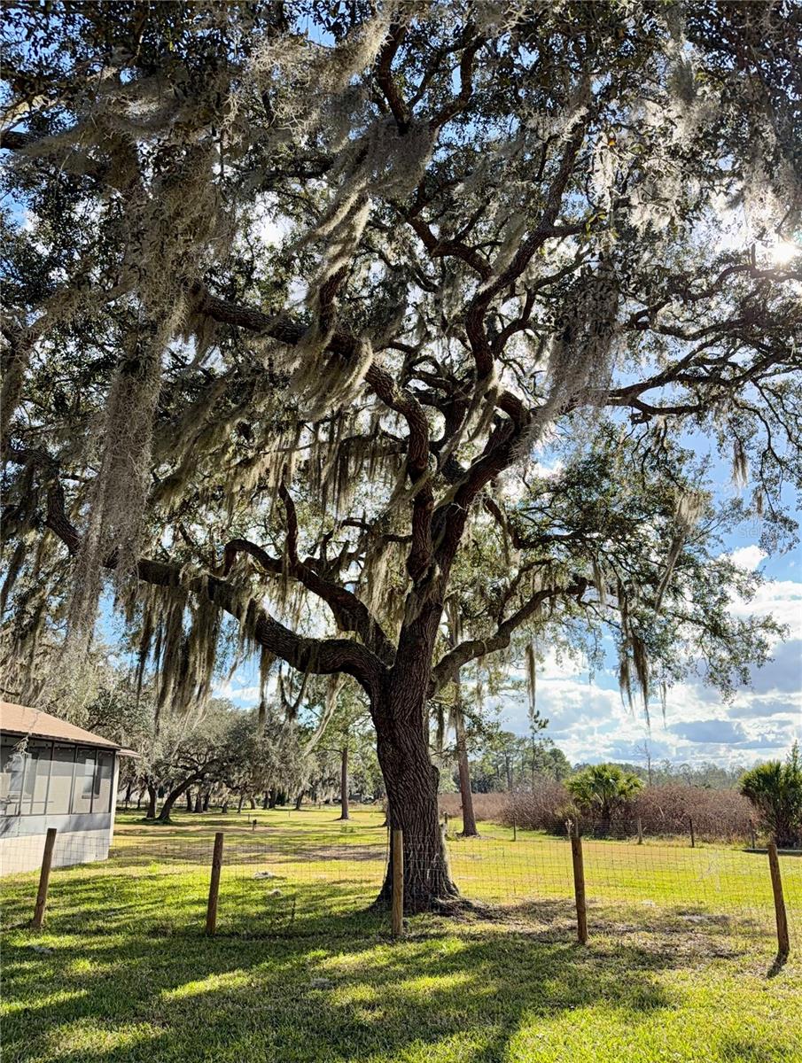 ACREAGE & UNREC - Residential