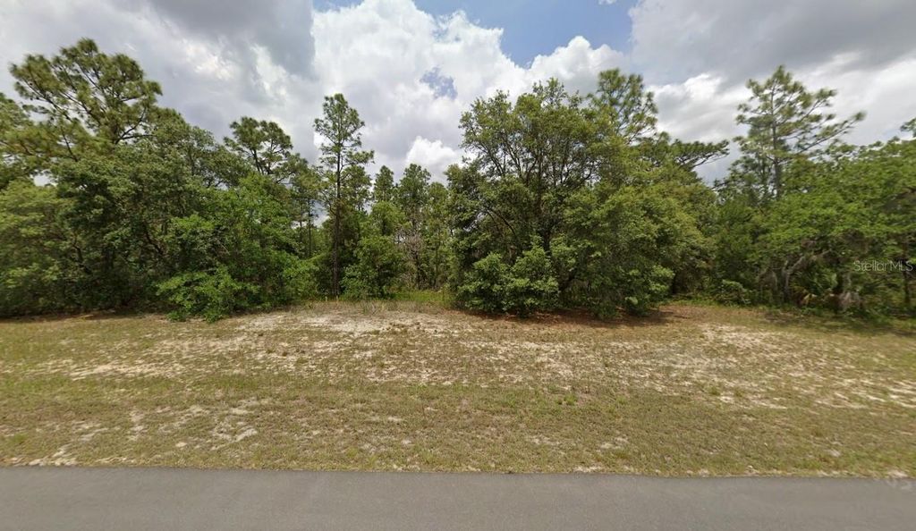 Photo of 0 138th St #Lot 8, Ocala, FL 34473 (MLS # O6400880)
