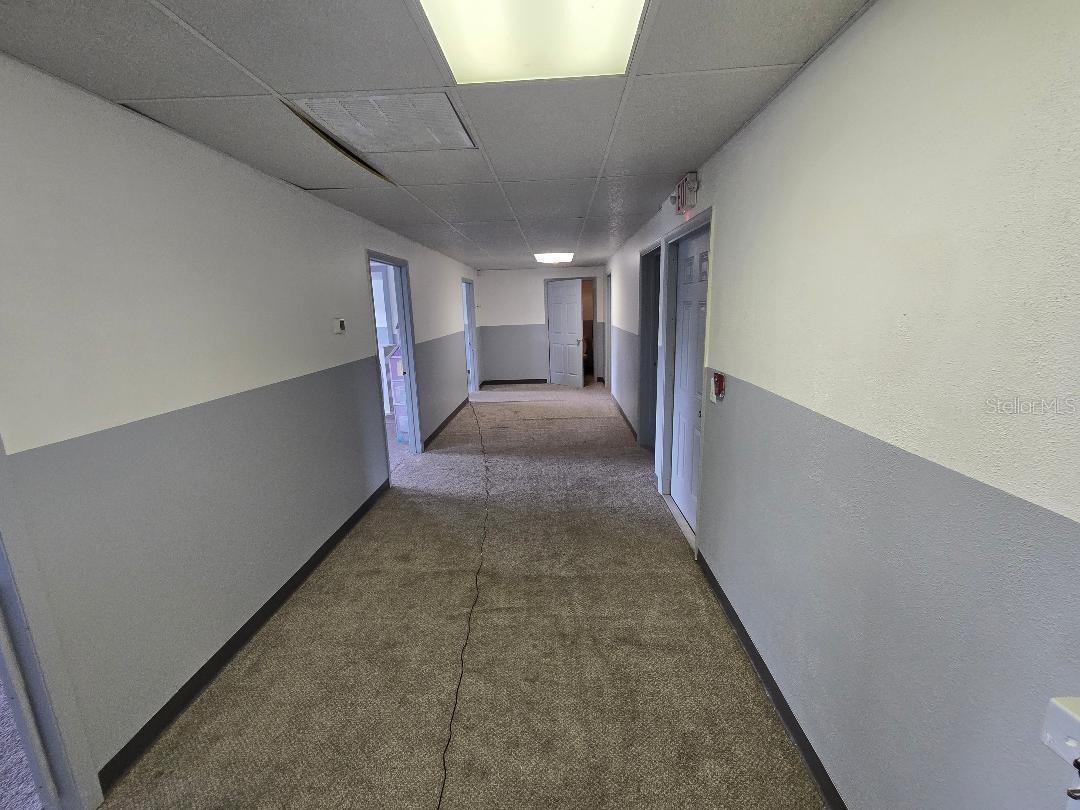 TAMPA TARPON SPGS LAND CO - Commercial Sale