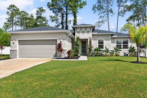 A home in PALM COAST