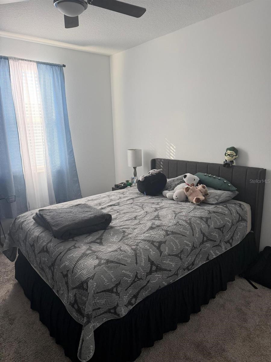 LAKE WILSON RESERVE - Residential