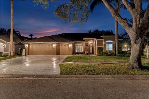 A home in RIVERVIEW