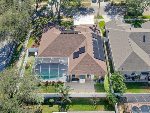 A home in RIVERVIEW