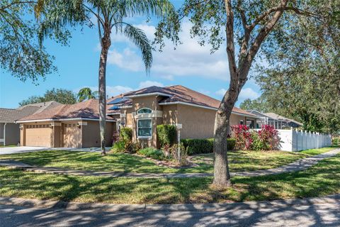 A home in RIVERVIEW