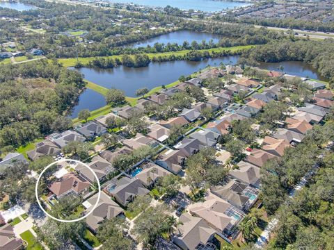 A home in RIVERVIEW