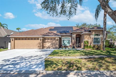 A home in RIVERVIEW