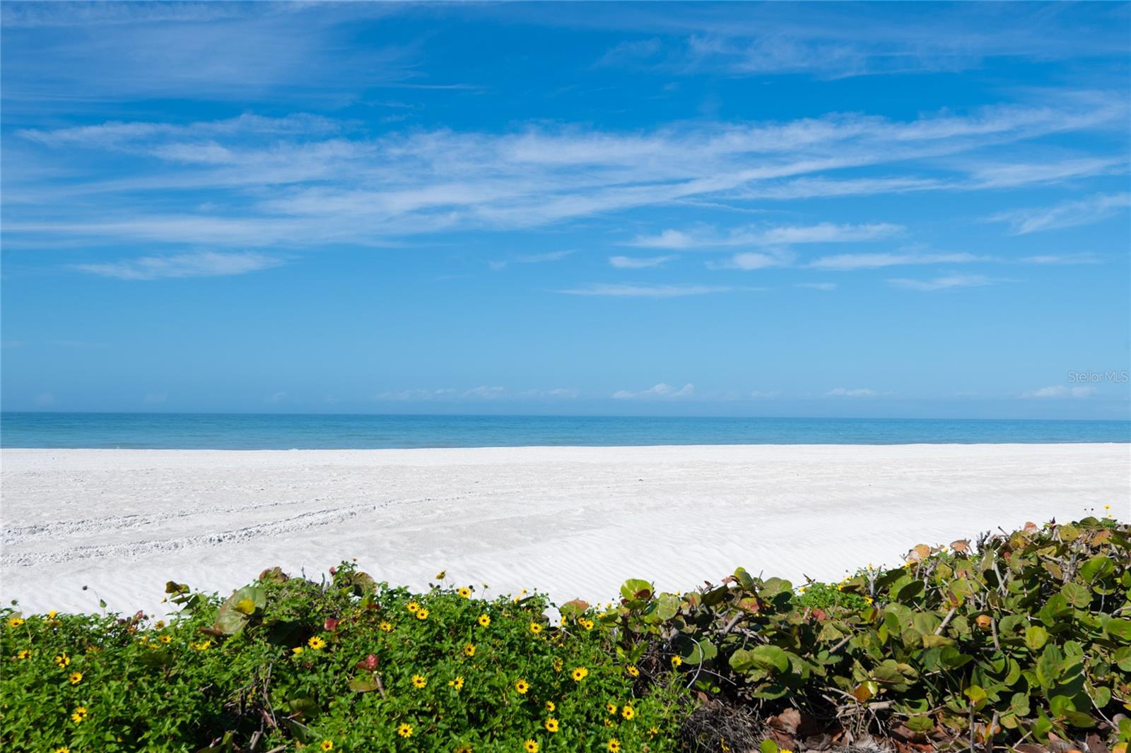 BELLEAIR BEACH - Residential Lease