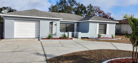 7452 PHILATELIC DRIVE SPRING HILL FL 34606