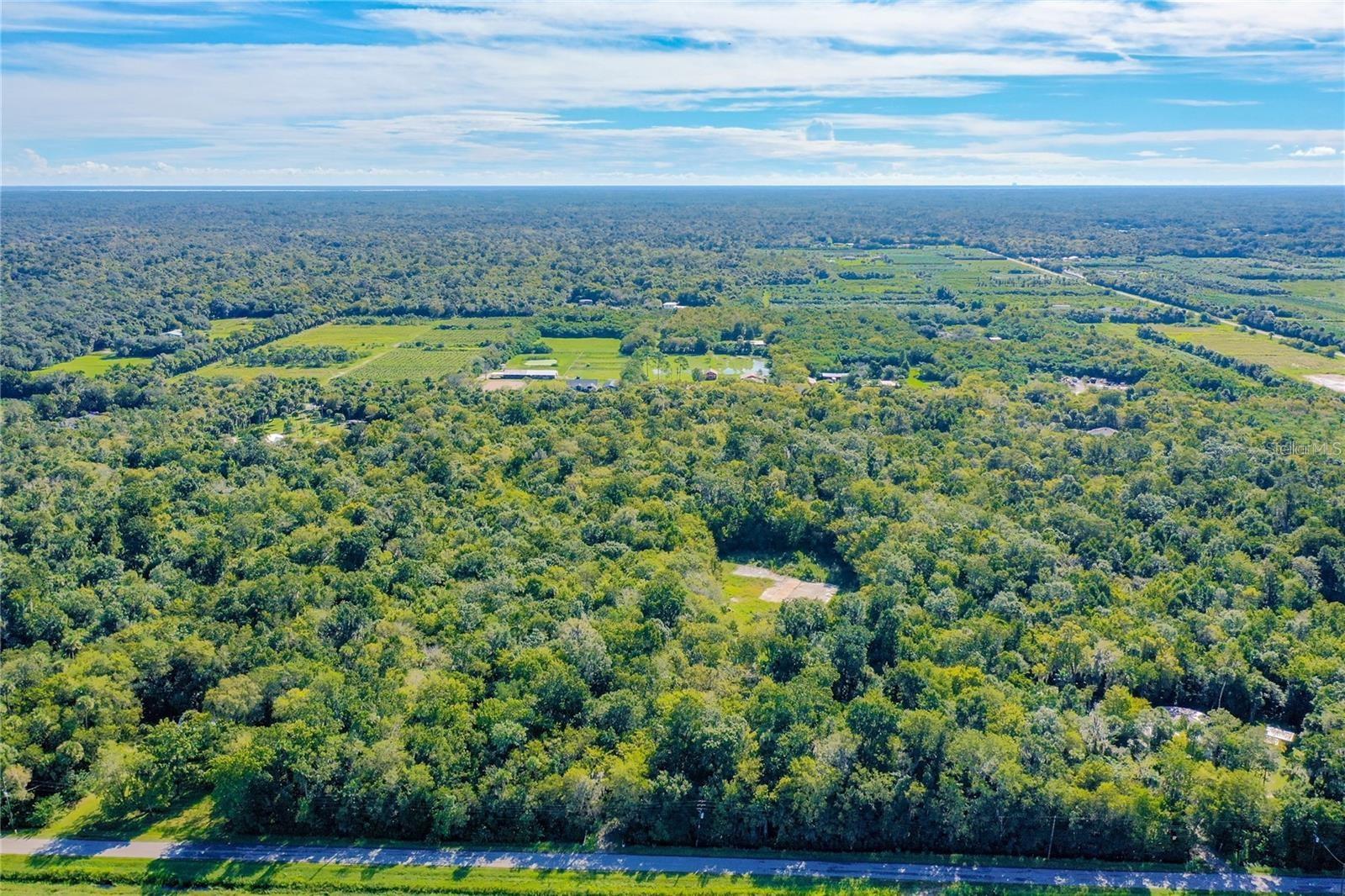 BLACK HAMMOCK - Land