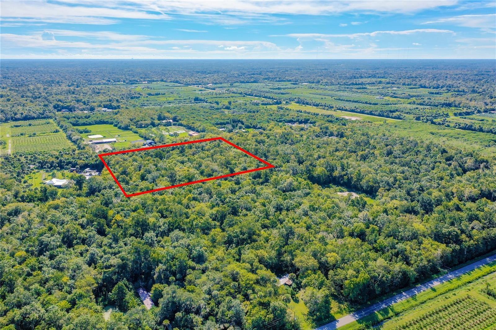 BLACK HAMMOCK - Land