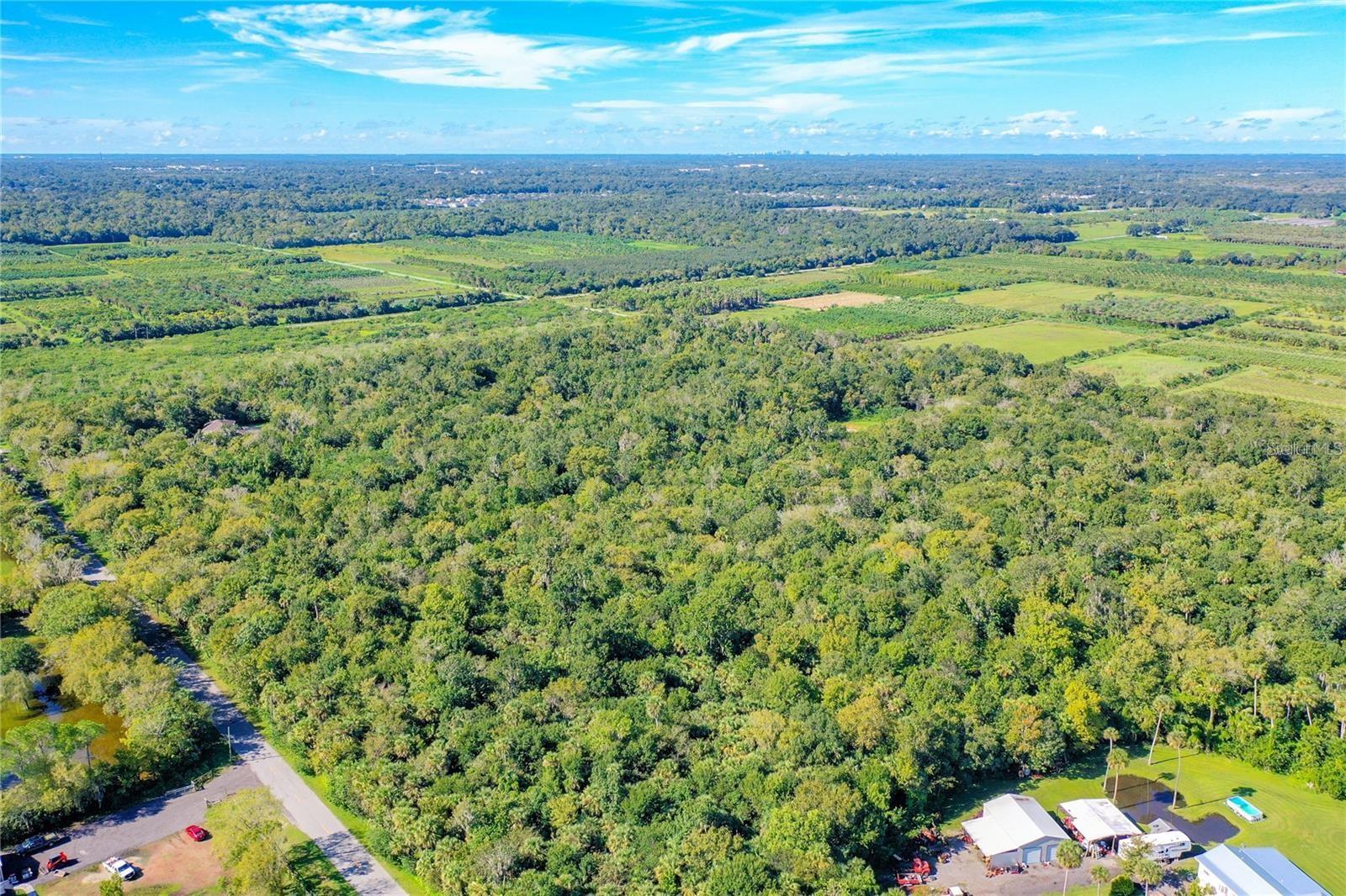 BLACK HAMMOCK - Land