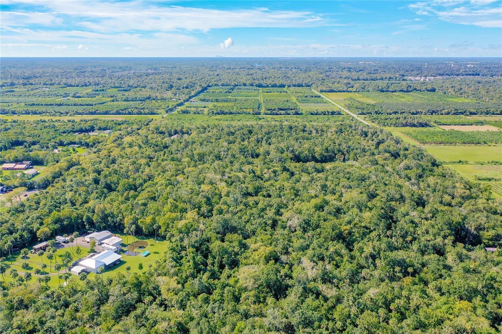 BLACK HAMMOCK - Land