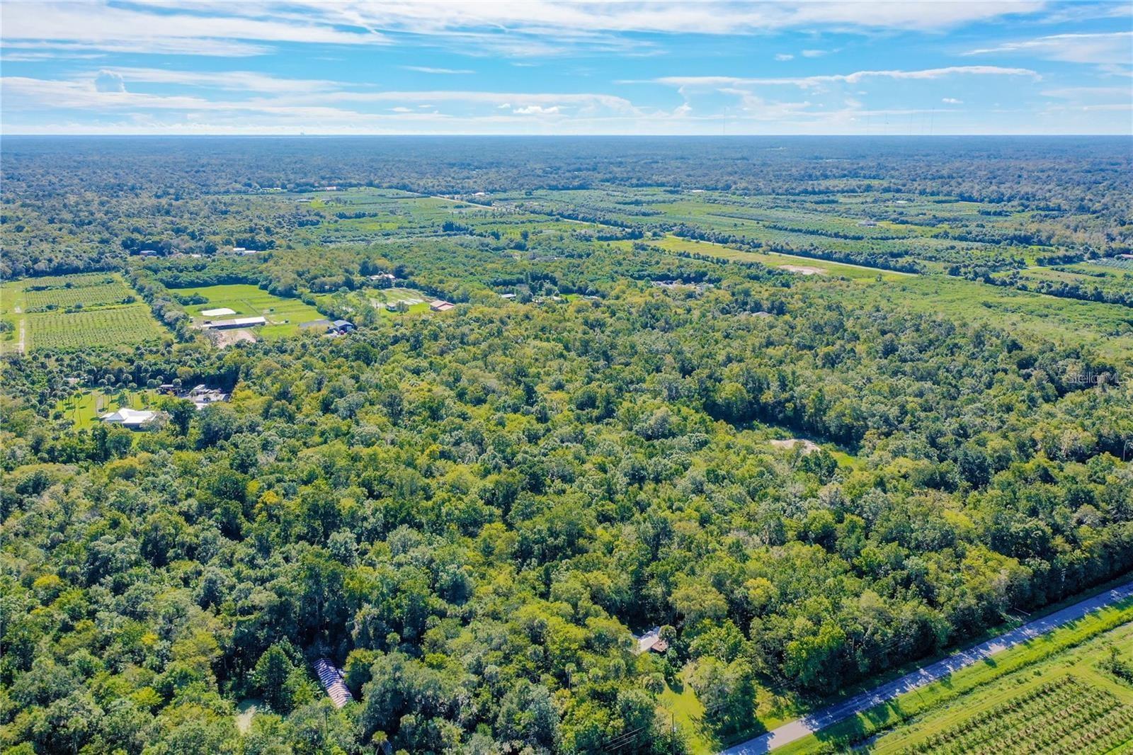 BLACK HAMMOCK - Land