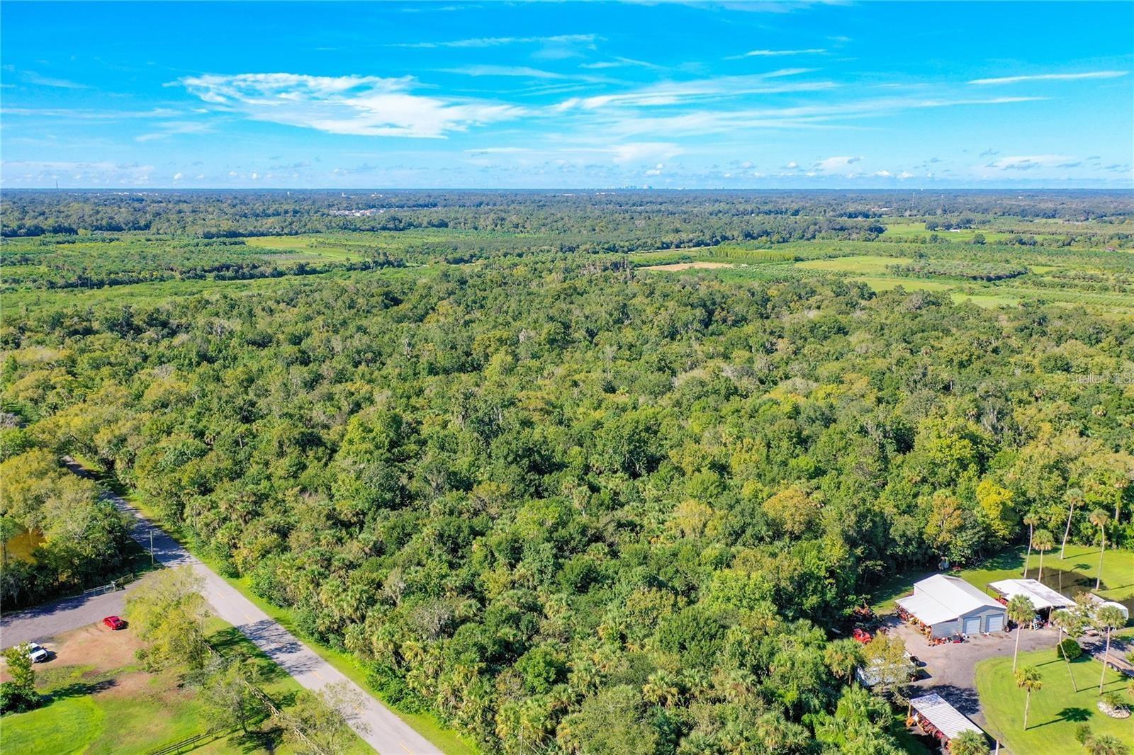 BLACK HAMMOCK - Land