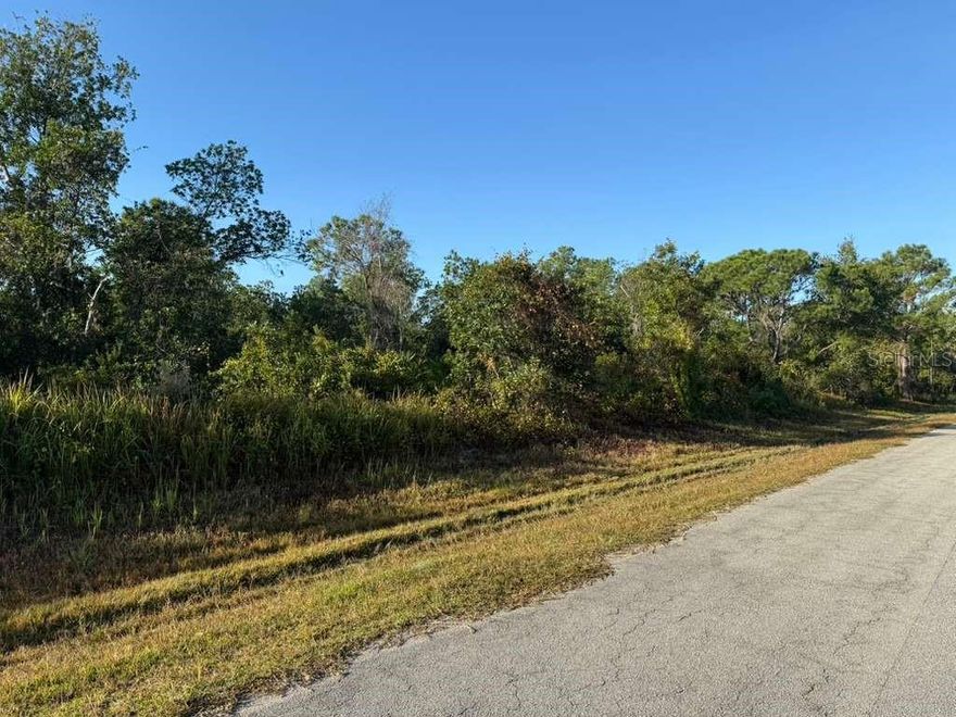 Excellent opportunity to build or invest in a high-growth community surrounded by new construction. This level, buildable lot offers easy utility access, strong appreciation potential, and convenient proximity to shopping, schools, and major roadways. Ideal for developers, investors, or future homeowners looking to secure land in a fast-expanding area. Don’t miss this high-value investment opportunity.