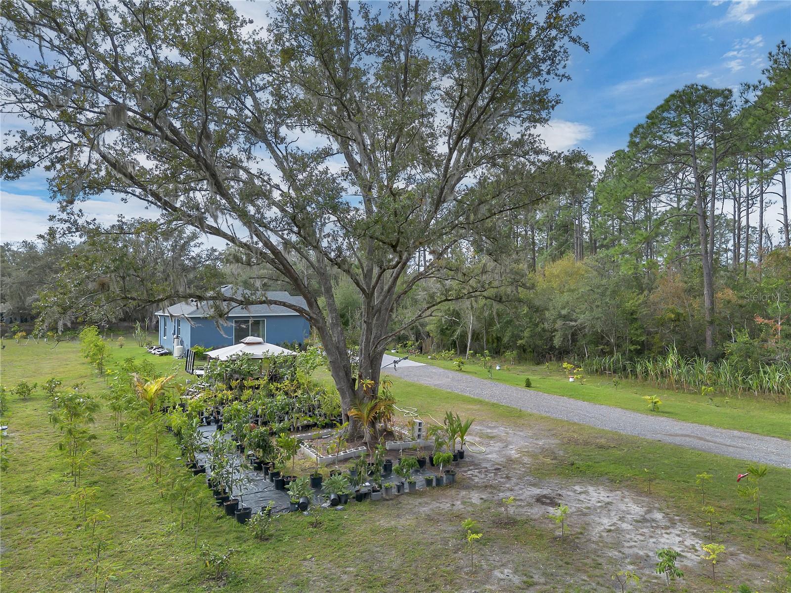 S L & I C - Residential