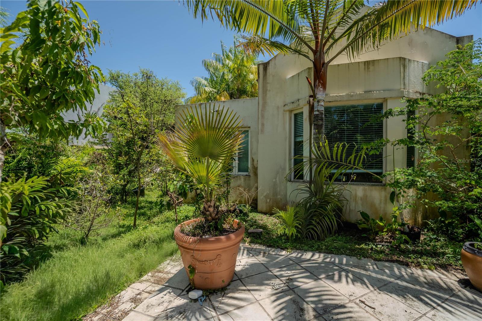 DORADO BEACH EAST - Residential