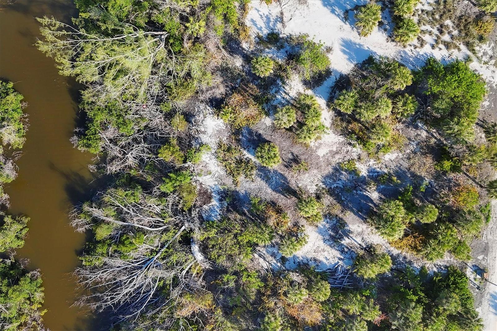 SABAL PALM POINT - Land