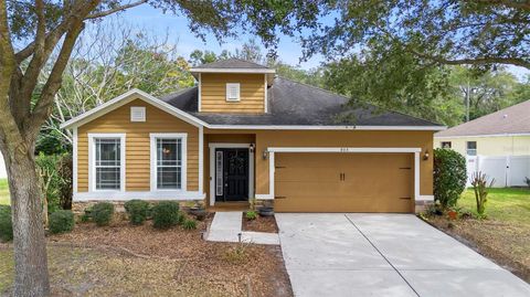 A home in DELAND