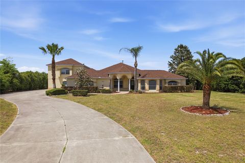 Tiny photo for 4141 County Road 121d, Wildwood, FL 34785 (MLS # G5111604)