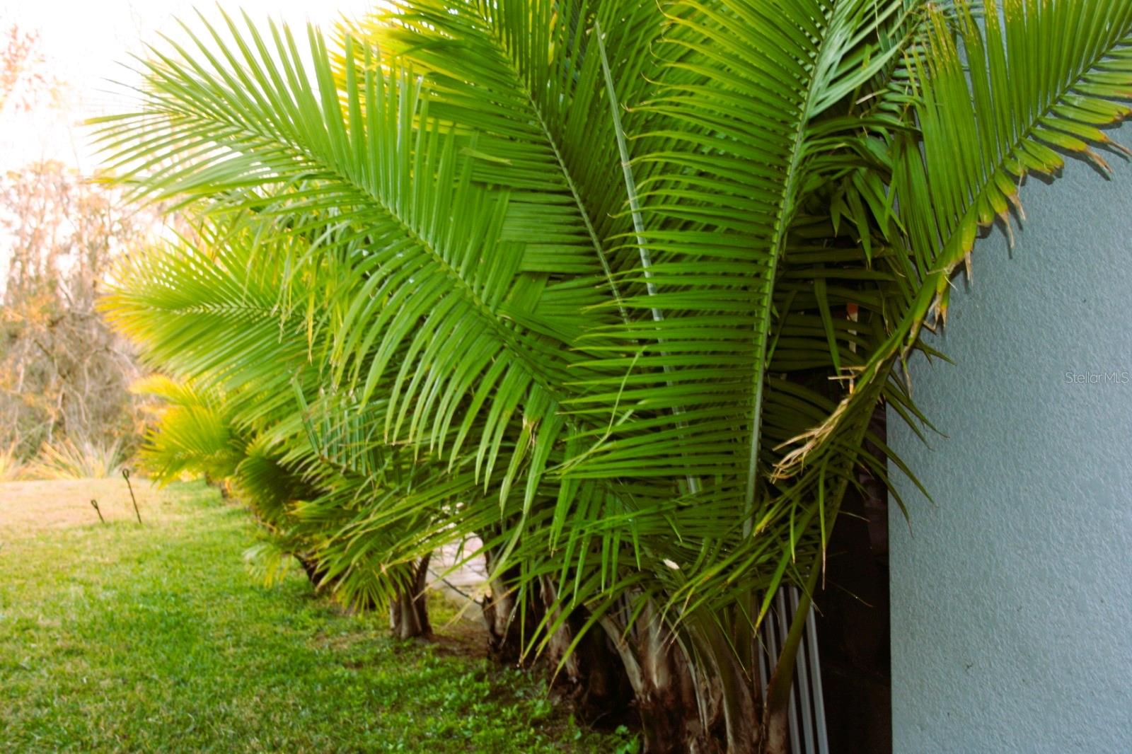 ISLES AT BAYVIEW PHASE I SUBPHASES A & B - Residential