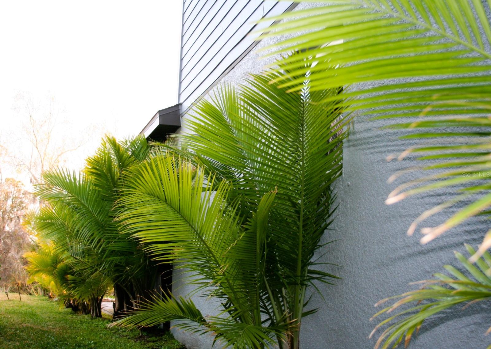 ISLES AT BAYVIEW PHASE I SUBPHASES A & B - Residential