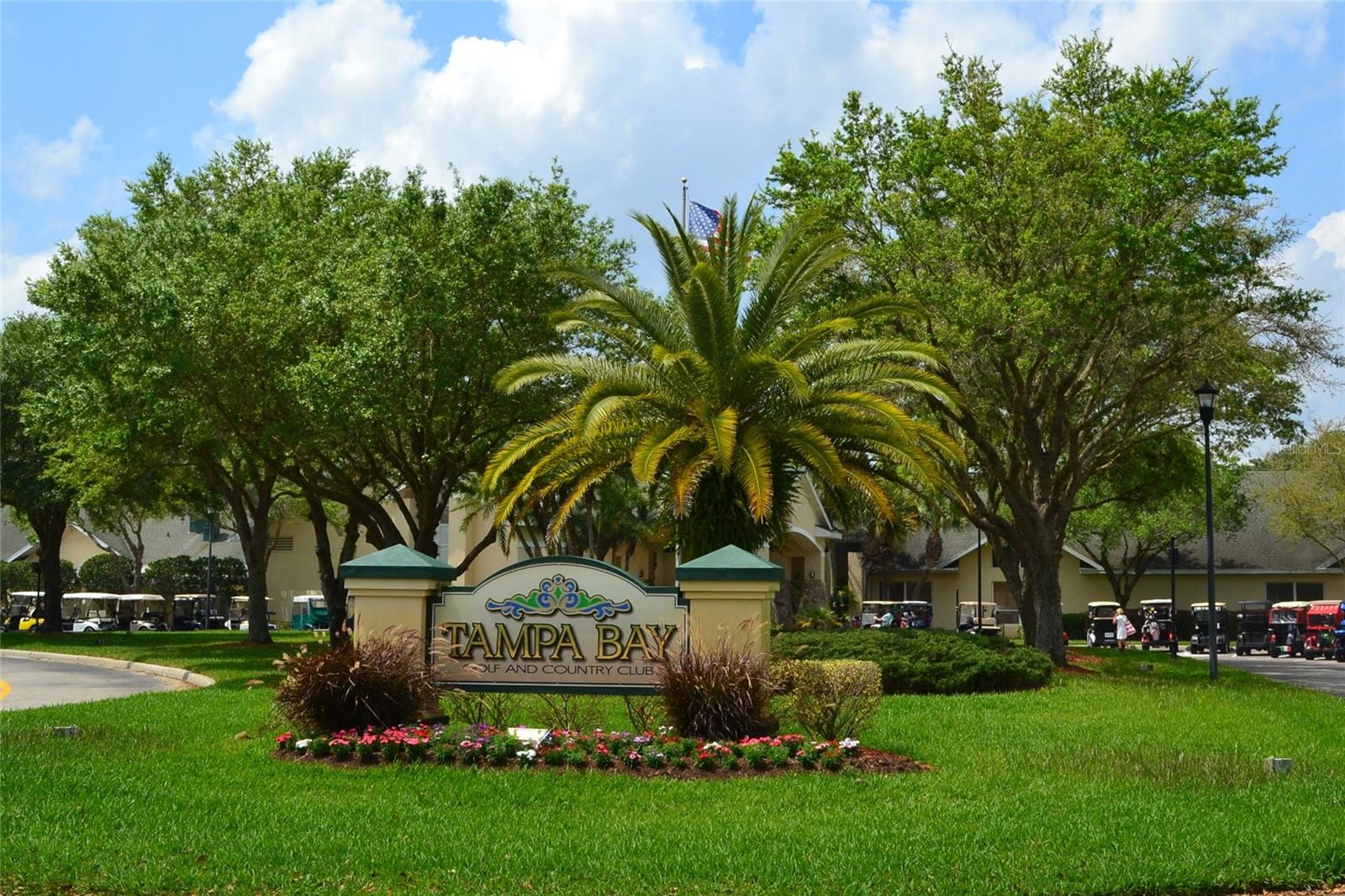 TAMPA BAY GOLF & TENNIS CLUB P - Residential